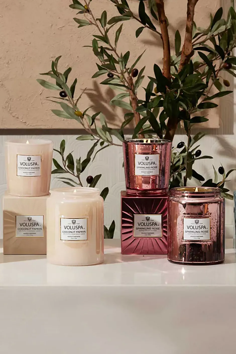 Classic Boxed Candle 60t Coconut Papaya^VOLUSPA Online
