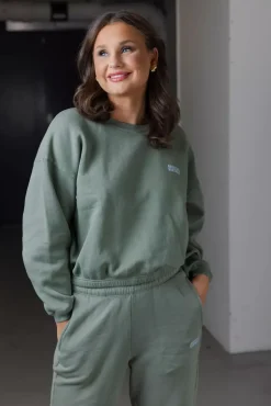 Izubird Crewneck Vintage Clay^AMERICAN VINTAGE Hot