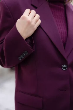 Sara Blazer Bordeux^ANINE BING Sale